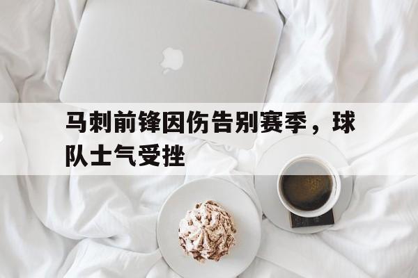 马刺前锋因伤告别赛季,球队士气受挫的简单介绍